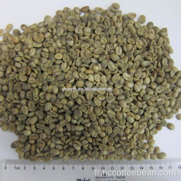 Grains de café arabica du yunnan de catégorie A
